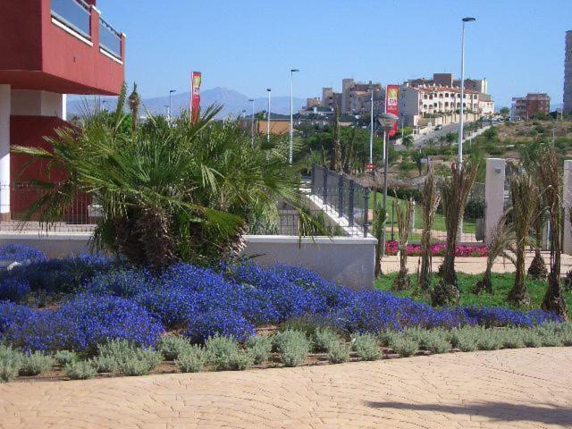 Arenales Playa Mar Holidays Arenales del Sol Exterior foto